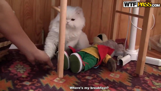 домашнее порно
секс дома
посмотреть домашнее порно
домашняя порнуха
порно hd русское домашнее
домашний секс бесплатно
русская домашняя ебля
домашнее эро
домашнее порно онлайн
домашняя ебля
смотреть домашнее порно видео
секс порно домашка
рус дом порно
эро видео домашнее русское
порнуха домашка
порно хоум видео
порно домашка
секс дома бесплатно
откровенное домашнее видео
ххх русское домашнее любительское
любительский секс
хоме порно
любительское видео эротика
домашнее порно бесплатно
дамашни секис
русское домашнее порно видео
домашнее порно видео
любительское порно видео
порно новинки домашка
porno домашнее
домашка xxx
домашнее порно hd
домашнее секс видео бесплатно
домашнее поно
porno doma
ххх хоум
порно снятое дома
порно русс домашнее
домашняя порнография
простой домашний секс
sex dom
реальный домашний секс видео
русское частное видео
секс домашка
домашний секс
домашнее интимное видео
порево дома
обычный домашний секс
домашнее любительское порно видео
русское порно личное
domashniy seks
домашний секс онлайн
смотреть домашний секс
эротика домашнее видео
русское домашнее частное
домашнее пор
seks doma
домашнее видео для взрослых
порно ру домашнее
домашний секс смотреть бесплатно
домашний секс фильм
любительское порно бесплатно
красивое частное порно
смотреть порно домашка
домашнее интимное видео бесплатно
домашняя эротика бесплатно
секс видео домашка
домашний любительский секс
русский домашний секс
домашние эротические видео
xxx домашнее
русское домашнее порно онлайн
эро домашка
порно фильмы домашнее
порно в домашних условиях
интим дома
домашний секс бесплатный
домашнее п
секс дома видео
частное любительское порно
порнушка домашка
эротика русская домашка
домашнее порно видео бесплатно
порно русское домашнее любительское
реальная домашка порно
голые дома видео
личное ххх видео
частное домашнее порно видео
home video xxx
домашнее порно ххх
реальное домашнее порно
ххх частное
damashni seks
порно секс дома
домашнее интим видео
частное домашнее любительское
русское домашнее хоум видео
бесплатное домашнее порно видео
секс дома частное
домашнее порно в хорошем качестве
секс хоум видео
секс с красоткой дома
домашнее порево
бытовое порно
классное домашнее порно
смотреть домашнее любительское порно
рус дом секс
свой секс
русское домашнее видео 18
частная ебля
приватный секс
ххх русское домашнее
приватное семейное видео
порно домашка частное
частное русское хоум видео
секс видео русское домашнее
русское любительское секс видео
частное семейное порно
русское приватное порно
секс кино домашний
реальный русский домашний секс
хоум видео
порно ролики домашка
домашнее видео xxx
domashniy sex
домашний порно туб
домаха порно
русское домашнее частное порно
хоум видео ххх
ххх домашнее
русское домашнее порно новинки
настоящее домашнее порно
порно руски домашни
частное порно hd
damashni sekis
частное домашнее любительское порно видео
порно реальное домашнее частное
порно дома реальное
ххх дома
частный домашний секс
русский секс домашка
домашние порно ролики
частное порно бесплатно
домашнее парно
смотреть секс дома
смотреть дом порно
русское домашнее видео
domashnee porno
порно в квартире
домашние потрахушки
частное эро видео
красивый секс дома
секс дамашни
ебут домашнее
porno dom
порево домашка
домашнее 18
сняли домашнее порно
смотреть порно бесплатное русское домашнее
хоум видео россия
фильмы для взрослых домашнее
секс домашни руски
частное интим видео
русское хоум видео
частное xxx
русское домашнее любительское видео
русское частное порно
свое порно
настоящий домашний секс
